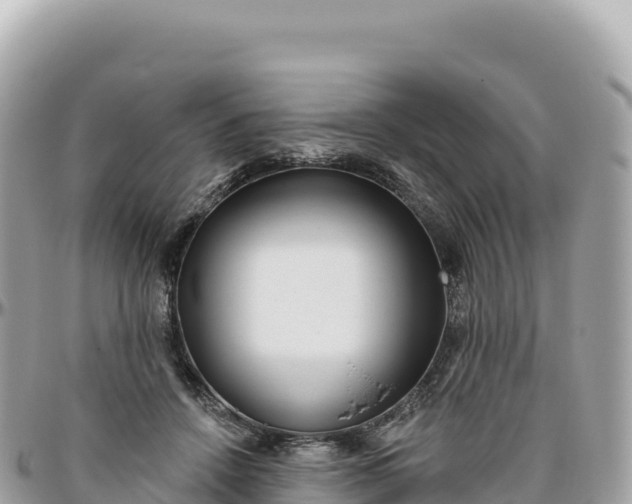 X0000095880456200801251144