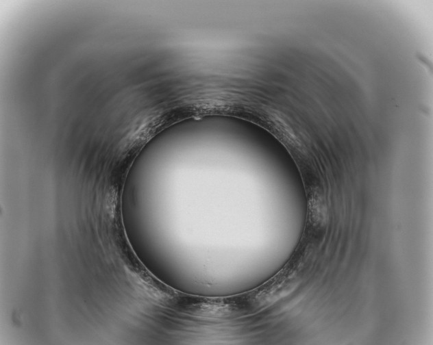 X0000095880458200801251144