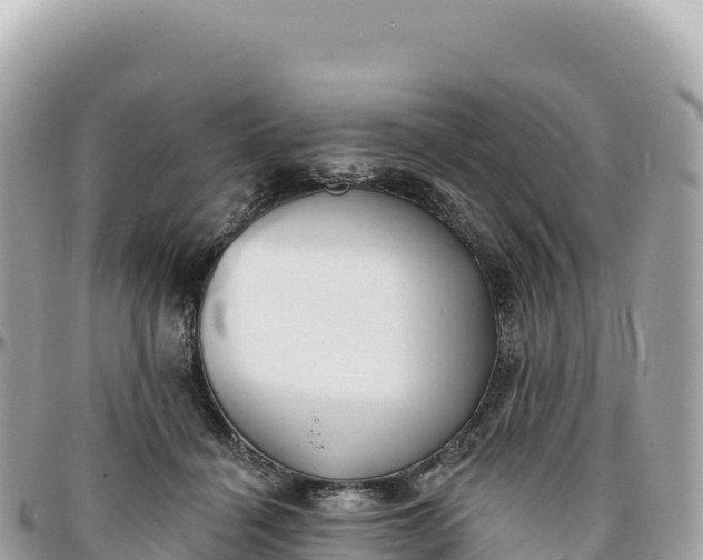 X0000095880460200801251144