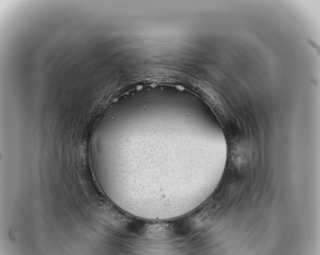 X0000095880461200801251144