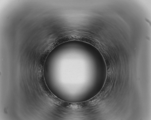 X0000095880464200801251144