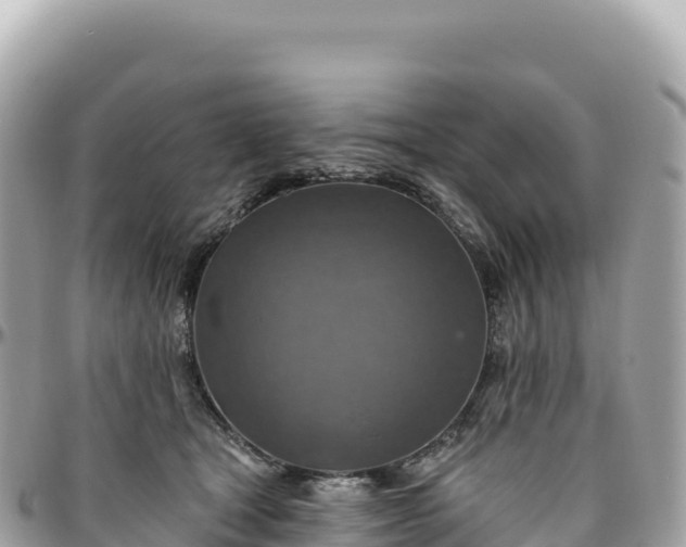 X0000095880465200801251144