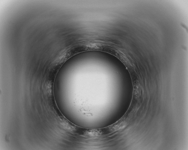 X0000095880466200801251144