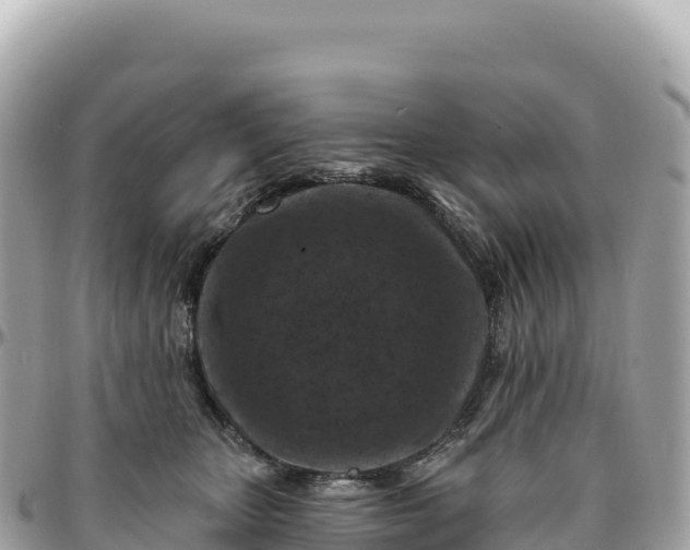 X0000095880467200801251144