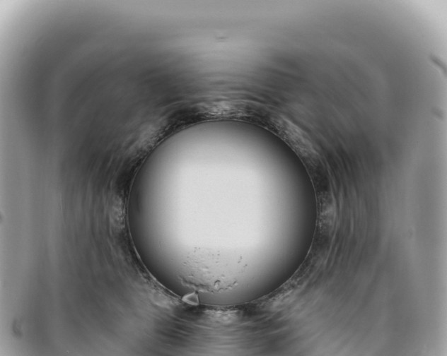 X0000095880469200801251144