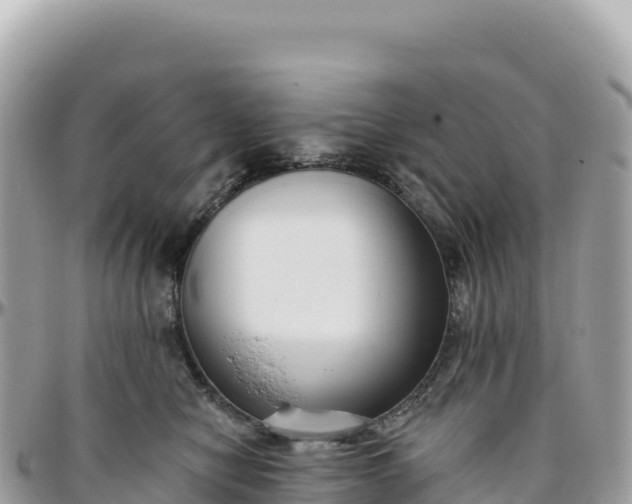 X0000095880470200801251144