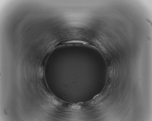 X0000095880471200801251144