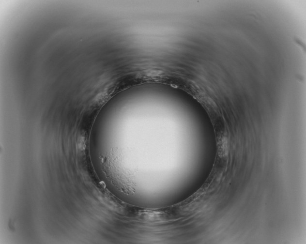 X0000095880472200801251144