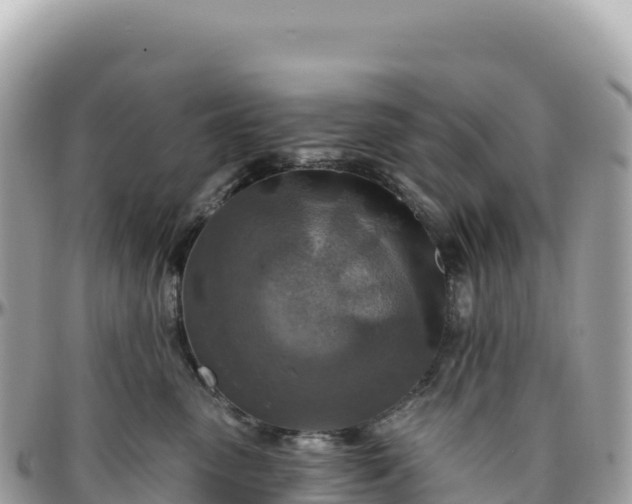 X0000095880475200801251144