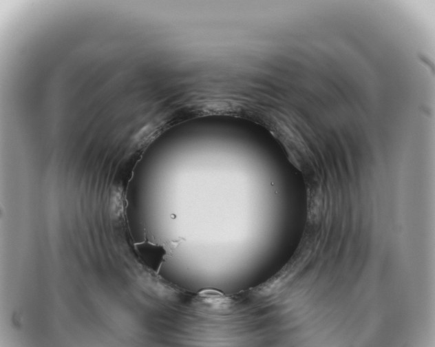 X0000095880478200801251144