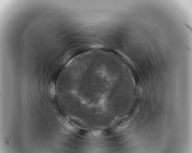 X0000095880479200801251144