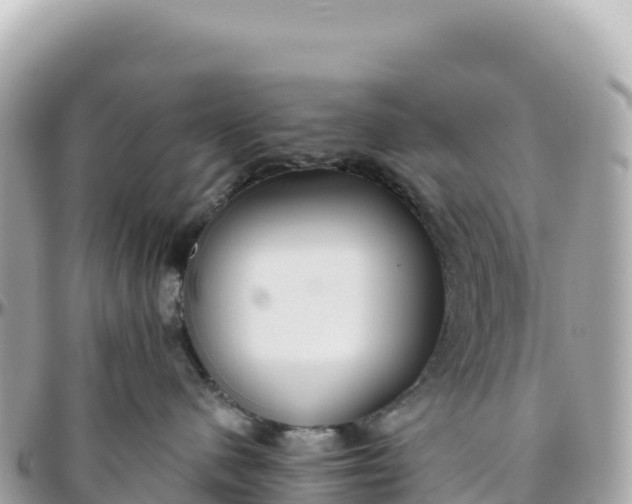 X0000095880480200801251144