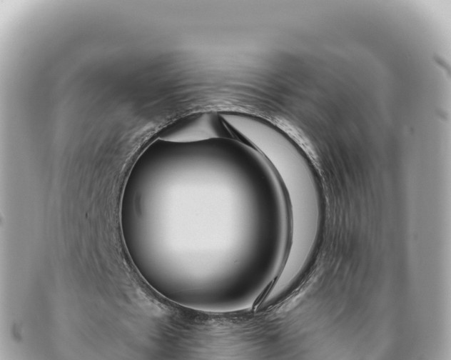 X0000095880481200801251144