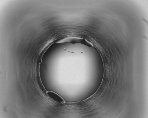 X0000095880482200801251144