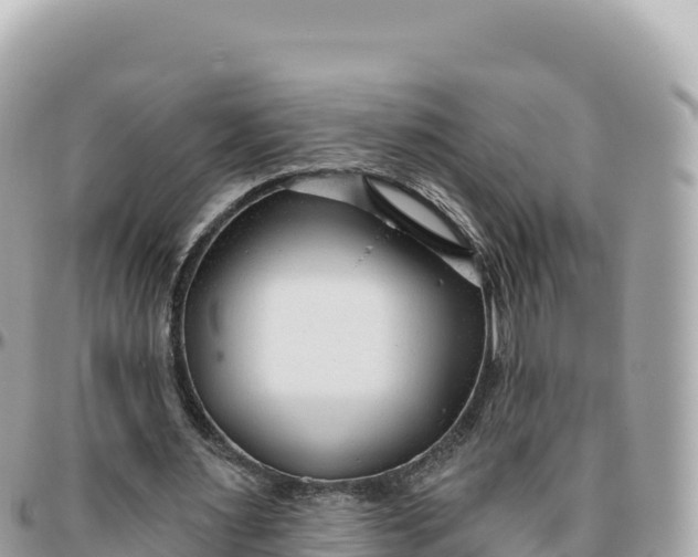 X0000095880483200801251144