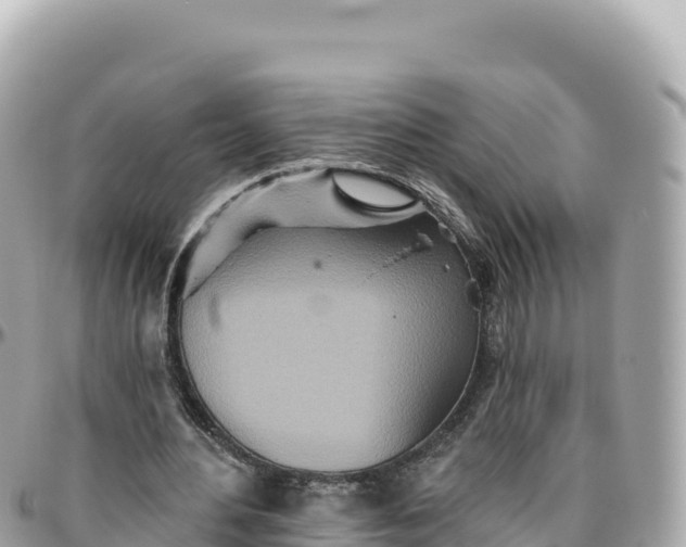 X0000095880484200801251144