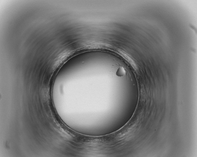 X0000095880485200801251143