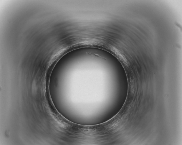 X0000095880486200801251143