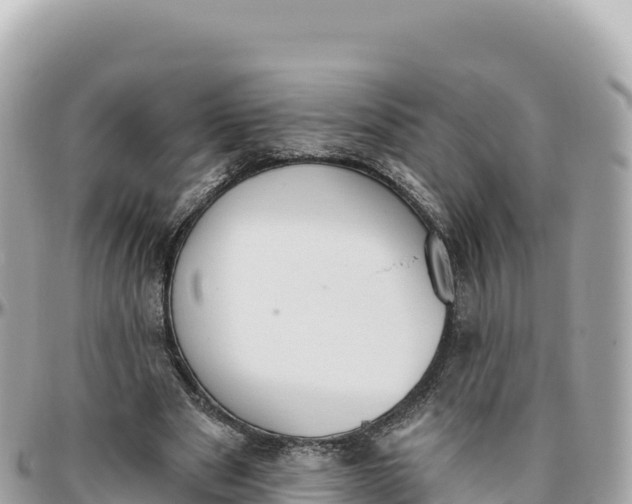 X0000095880489200801251143