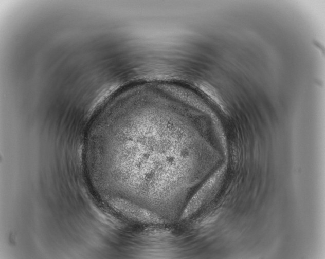 X0000095880491200801251143