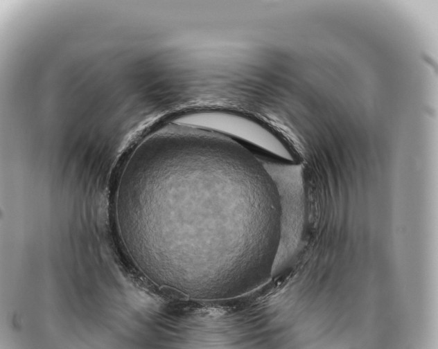 X0000095880492200801251143