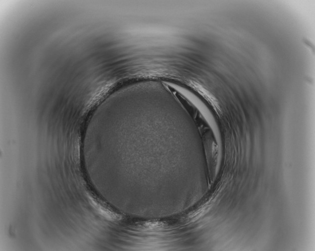 X0000095880493200801251143