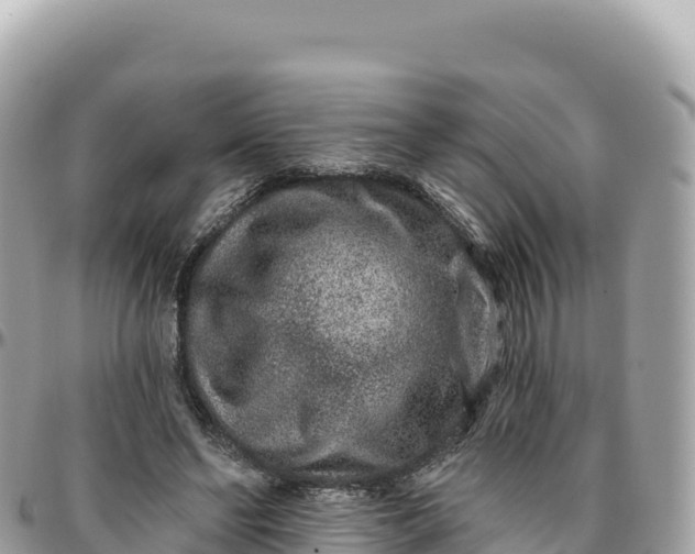 X0000095880494200801251143