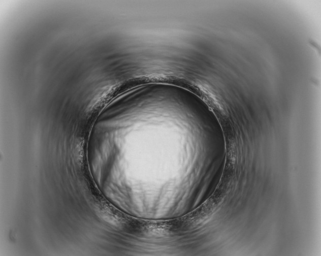 X0000095880495200801251143