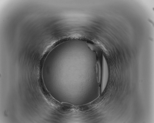 X0000095880496200801251143