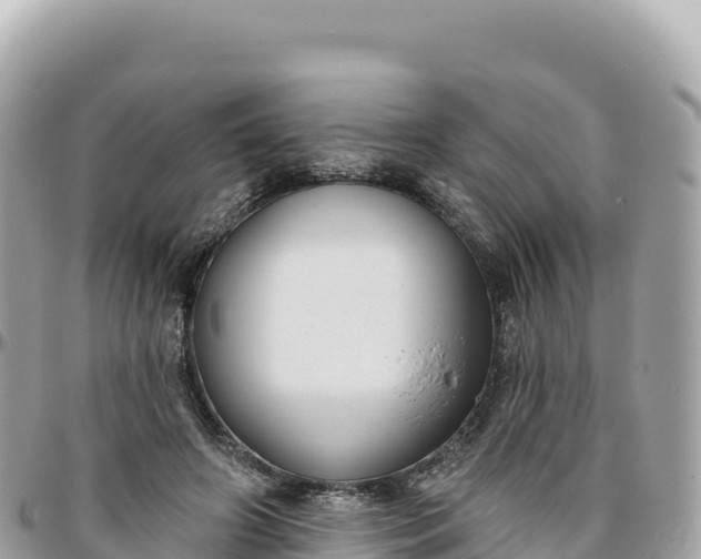 X0000095880498200801251143