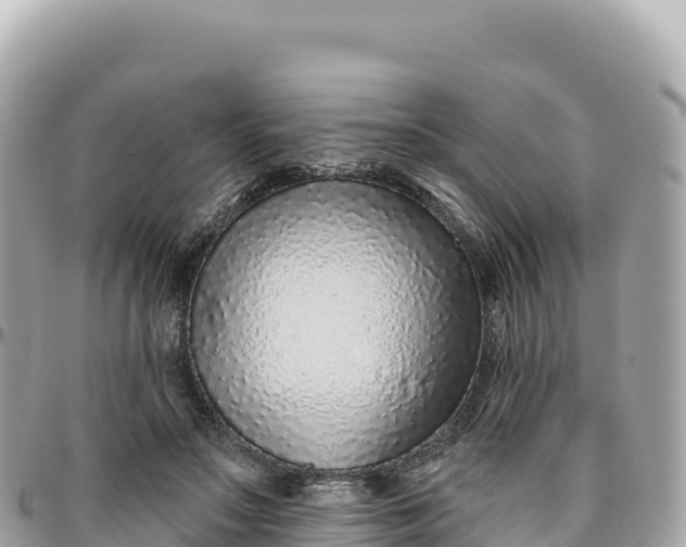 X0000095880499200801251143