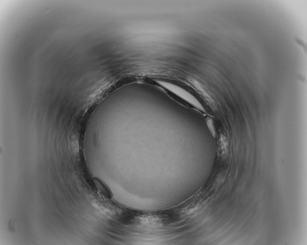 X0000095880500200801251143