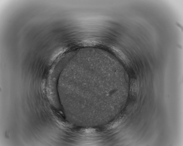 X0000095880501200801251143