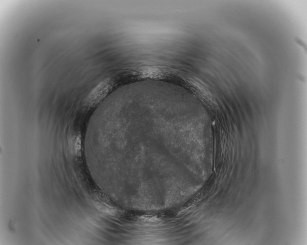 X0000095880502200801251143