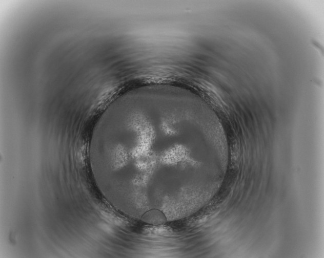 X0000095880503200801251143