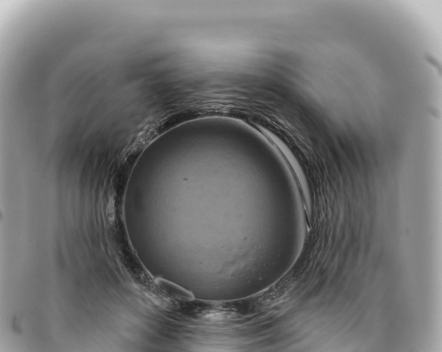 X0000095880504200801251143