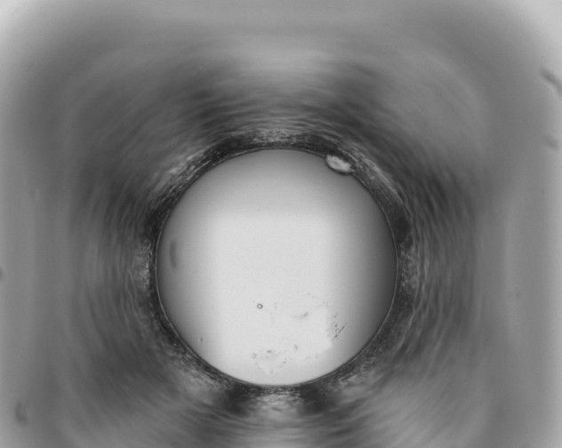 X0000095880505200801251143