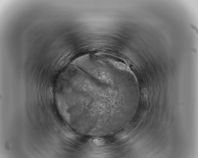 X0000095880506200801251143