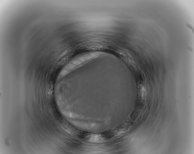 X0000095880507200801251143