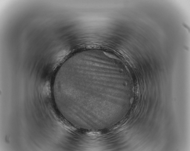 X0000095880508200801251143