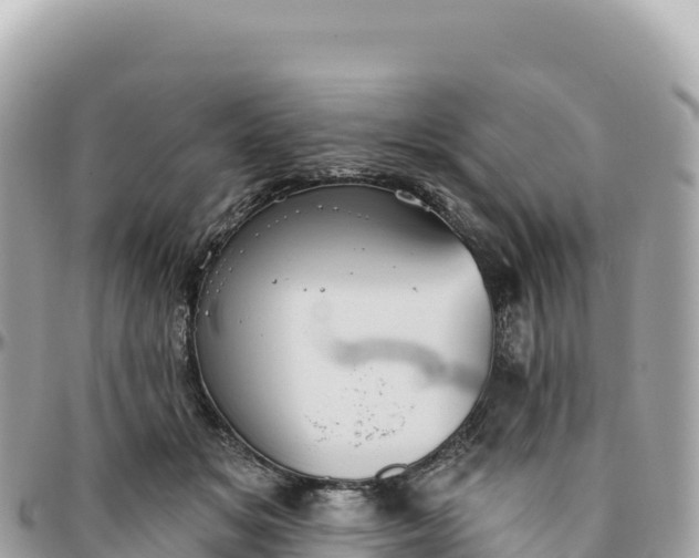 X0000095880509200801251143