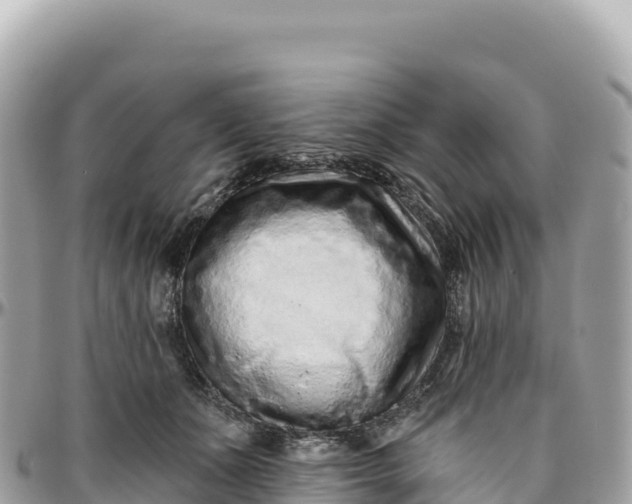 X0000095880511200801251143