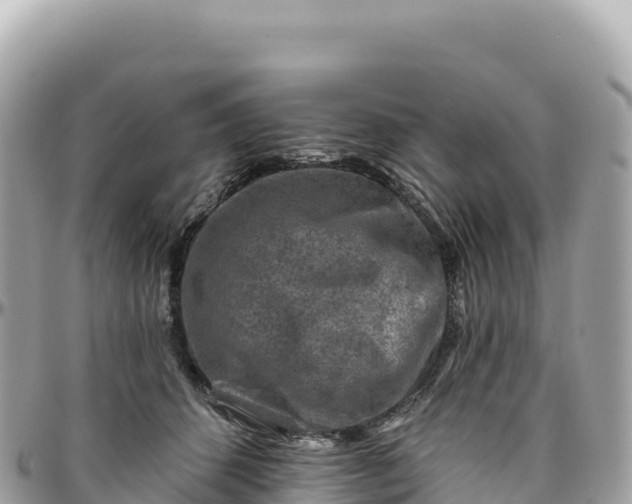 X0000095880512200801251143