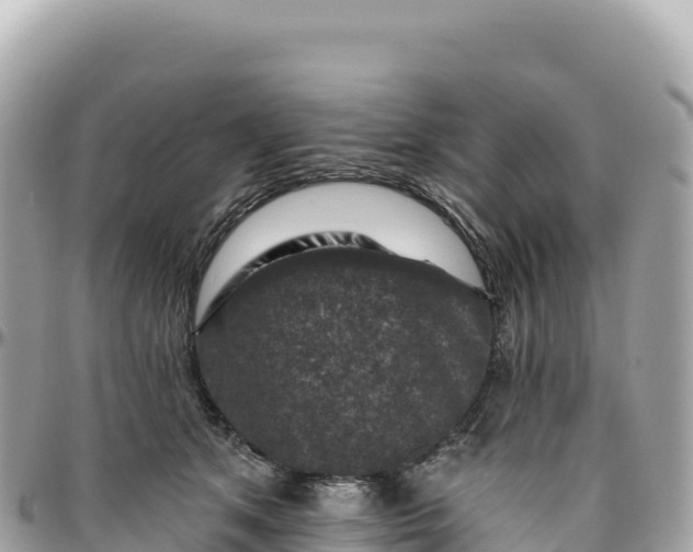 X0000095880513200801251143