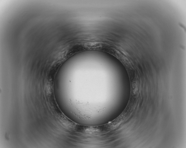 X0000095880515200801251143