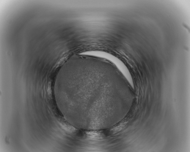 X0000095880516200801251143