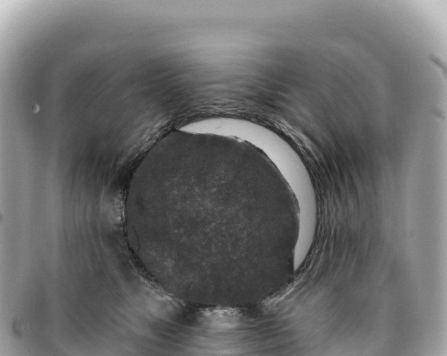 X0000095880517200801251143