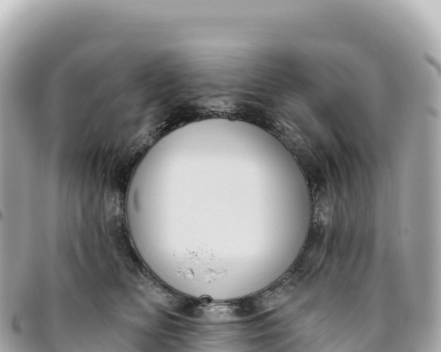 X0000095880518200801251143