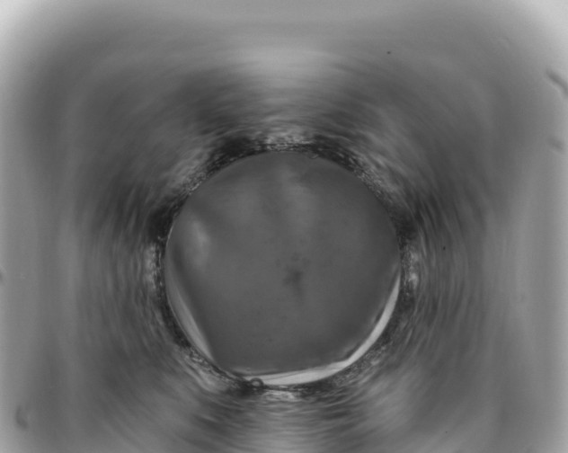 X0000095880519200801251143