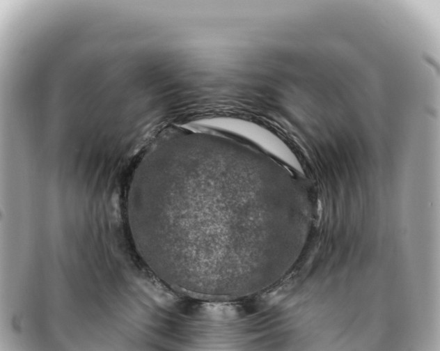 X0000095880520200801251143